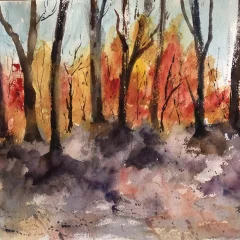 Autumn Blaze