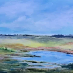 Irish Field
