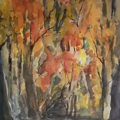 Autumn Woods