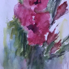 Blooms of Summer