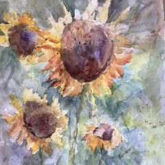 Sunflower Rhythm
